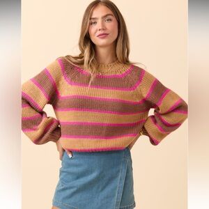 Pink Lily Striped Crewneck Sweater in Brown & Pink